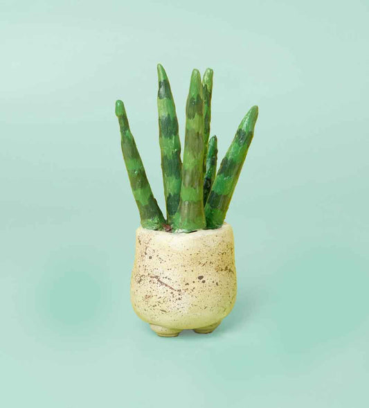 Kunvos™ Succulent Sculpture Pottery Kit – Sculpt Faux Houseplants That Never Die!
